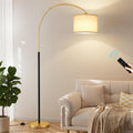 Black Gold Dimmable Arc Lamp